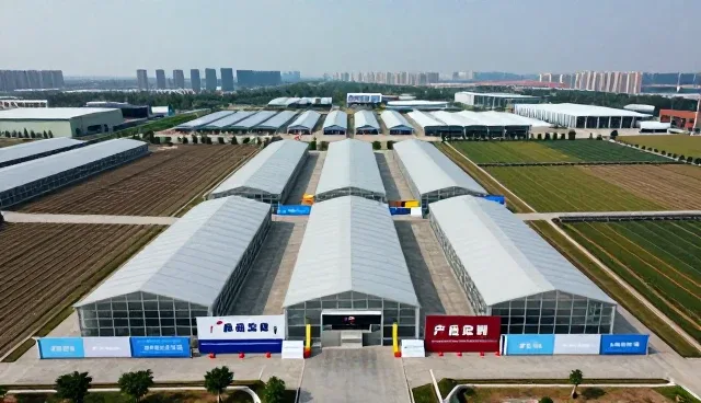 商贸支持体系如何影响品牌代理选型决策